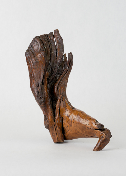 Driftwood Wing